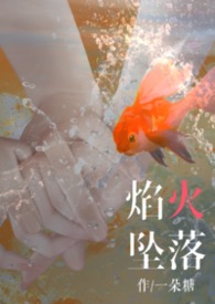 焰火坠落(2v2)